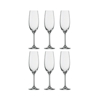 Schott Zwiesel Ivento Champagneglas 23 cl - Doos 6 stuks - 123Glaswerk