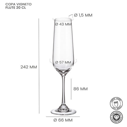 Alar Vigneto Champagneflute 20 cl - Doos 6 stuks - 123Glaswerk