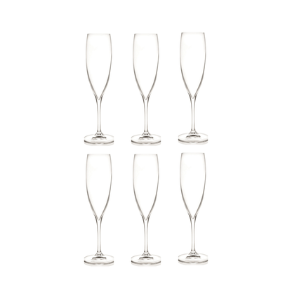 RCR Invino Champagneflute 24 cl - Doos 6 stuks - 123Glaswerk