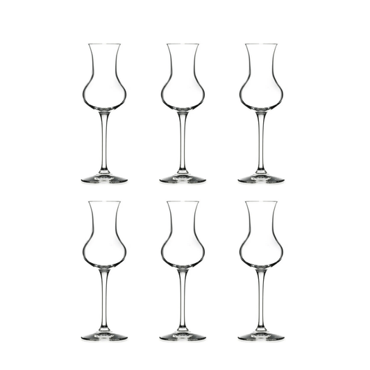 RCR Invino Grappa glas 8 cl - Doos 6 stuks - 123Glaswerk