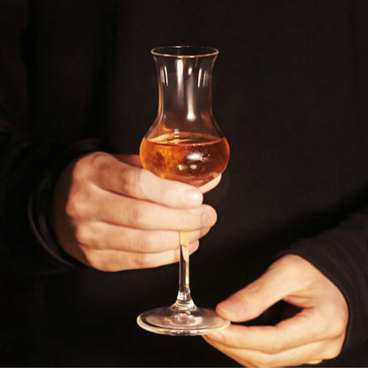RCR Invino Grappa glas 8 cl - Doos 6 stuks - 123Glaswerk