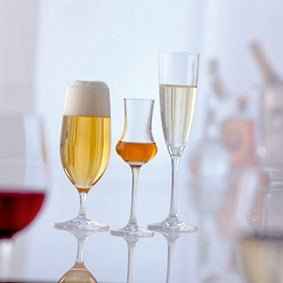 Schott Zwiesel Ever (Classico) Champagneglas 21 cl - Doos 6 stuks