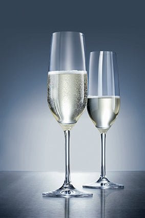 Schott Zwiesel Vina Champagneglas 26 cl - Doos 6 stuks - 123Glaswerk